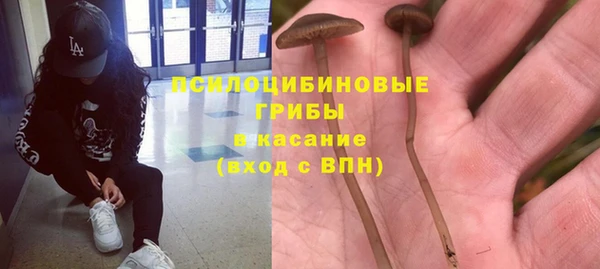 не бодяженный Абаза