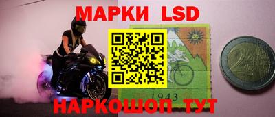 прущие грибы Донской