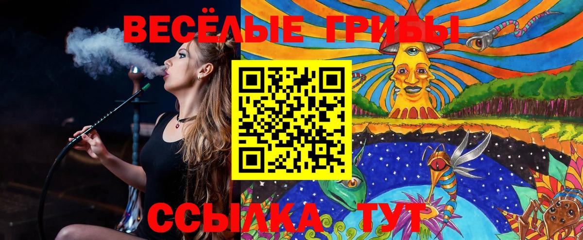 Меф МЯУ МЯУ кристаллы  Гашиш  Конопля  Кокаин  Где купить наркотики?  Янаул  Вход с VPN 